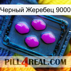 Черный Жеребец 9000 04